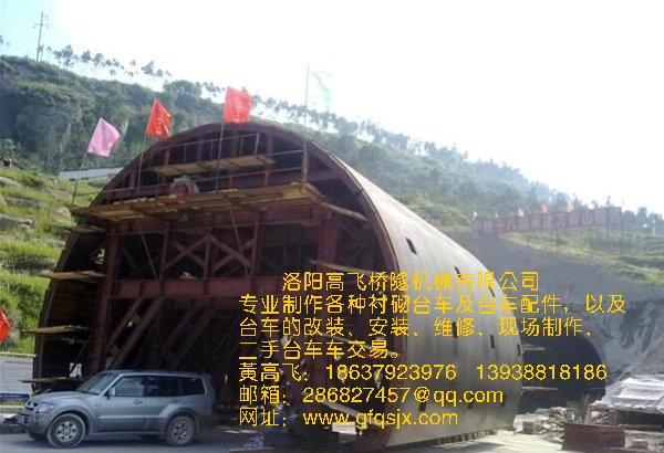 白姐全年正版王中王