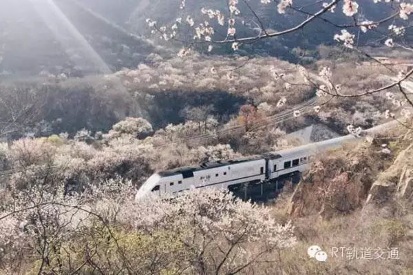 白姐全年正版王中王