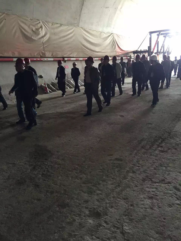 白姐全年正版王中王