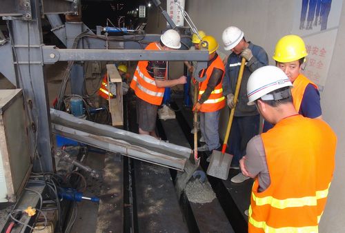 白姐全年正版王中王