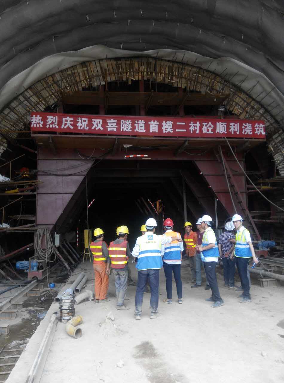 白姐全年正版王中王