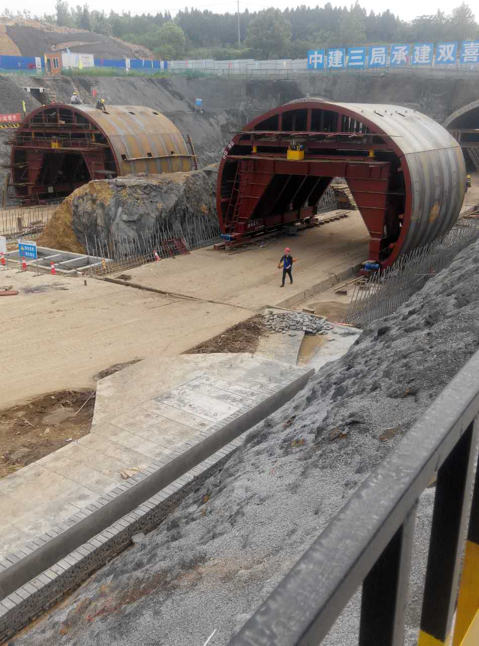 白姐全年正版王中王