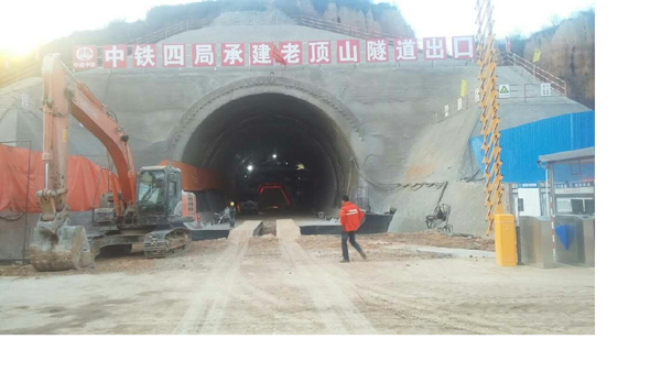 白姐全年正版王中王