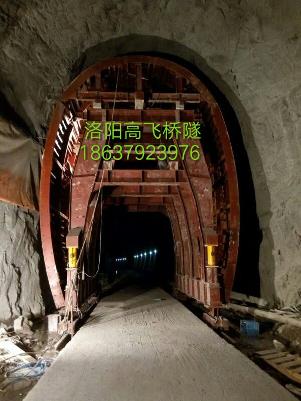 白姐全年正版王中王