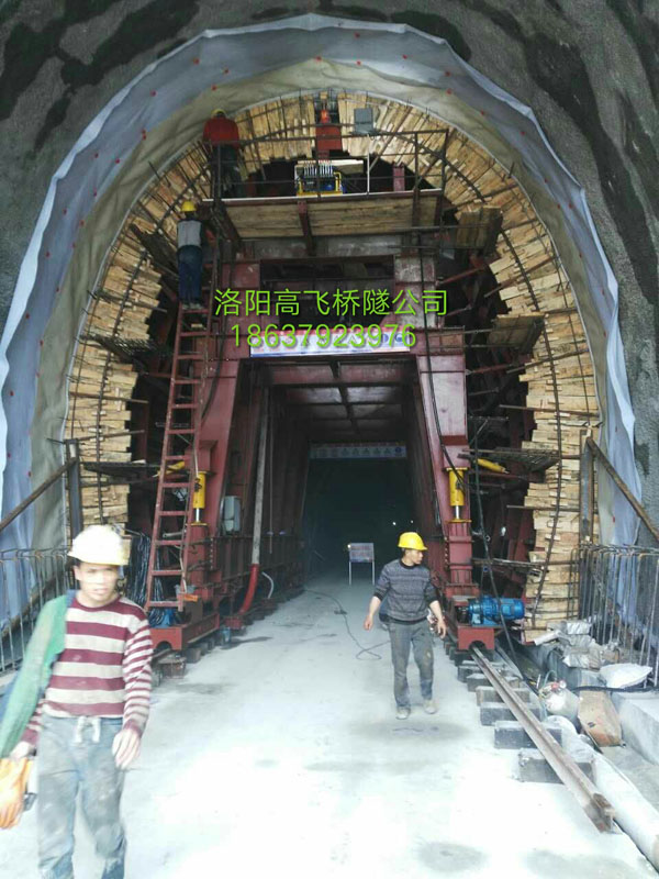 白姐全年正版王中王