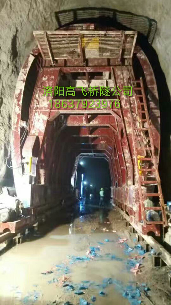 白姐全年正版王中王