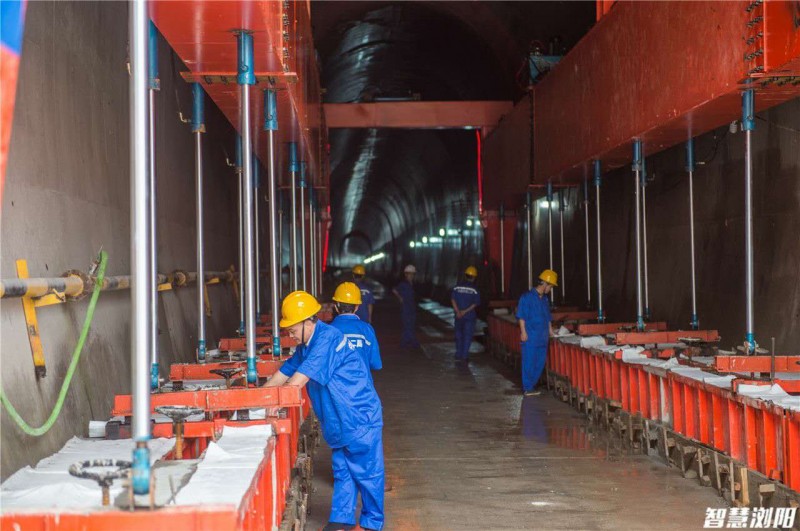 白姐全年正版王中王