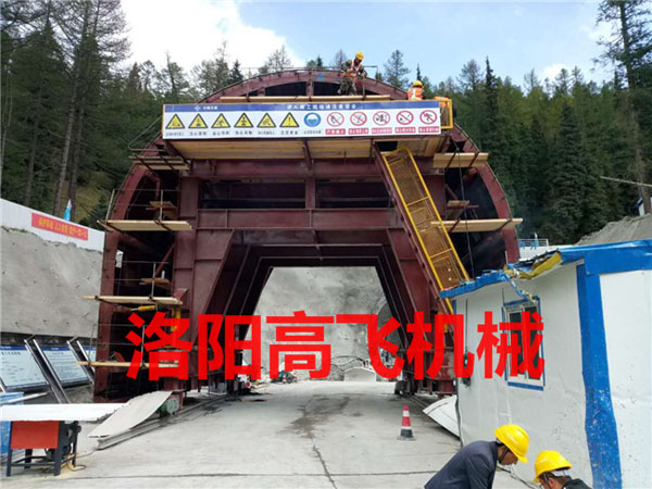 白姐全年正版王中王