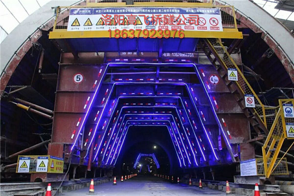 白姐全年正版王中王