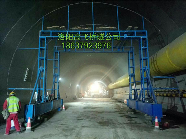 白姐全年正版王中王