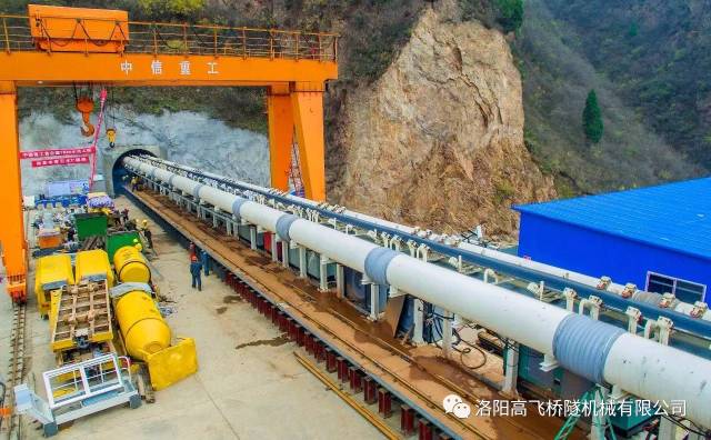 白姐全年正版王中王