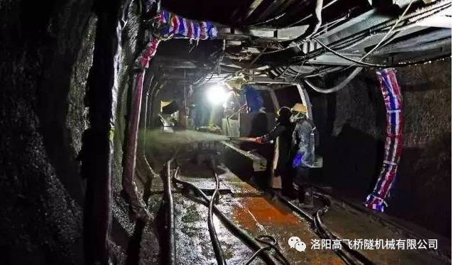 白姐全年正版王中王