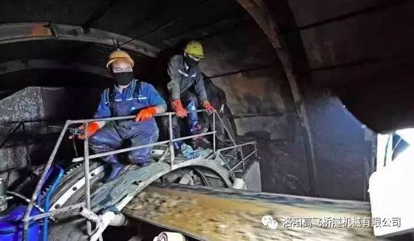 白姐全年正版王中王