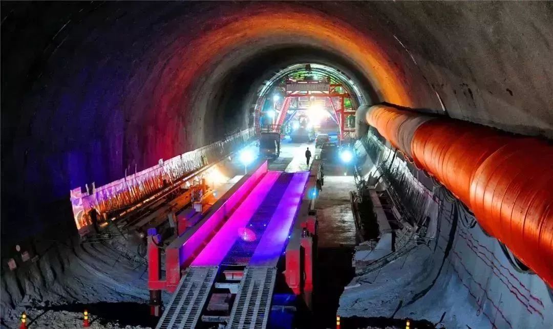 白姐全年正版王中王