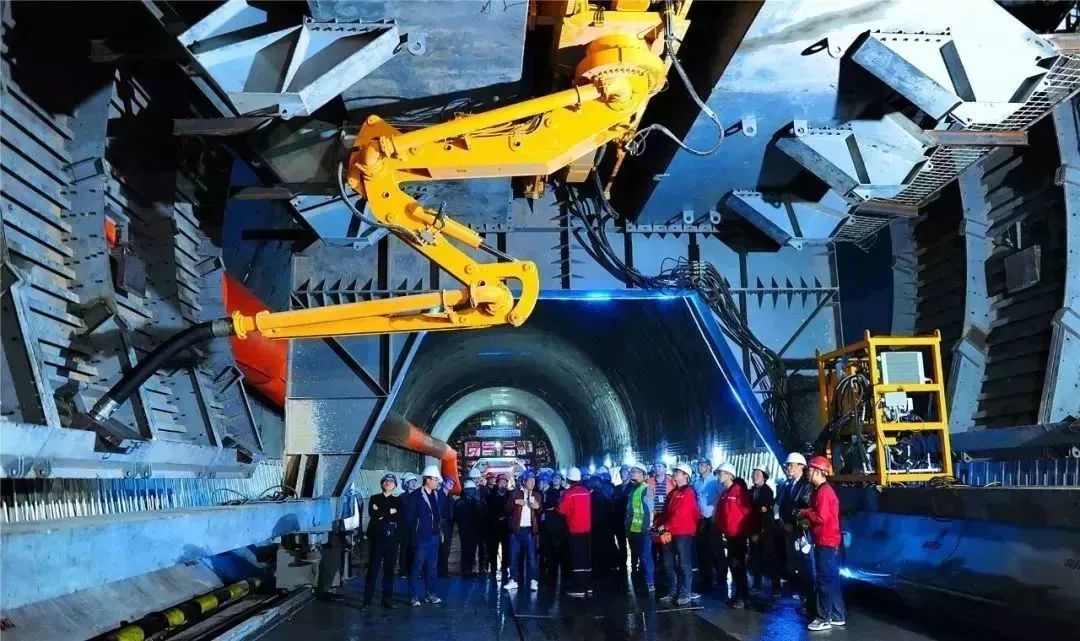 白姐全年正版王中王