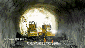 白姐全年正版王中王