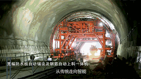 白姐全年正版王中王