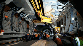 白姐全年正版王中王