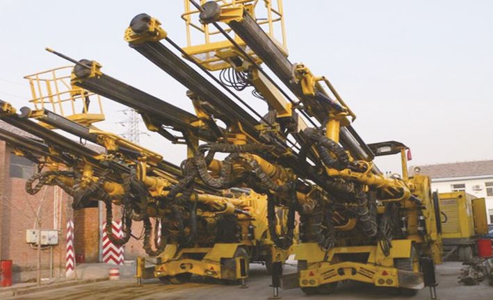 白姐全年正版王中王