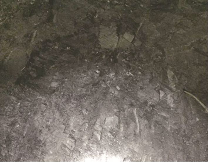 白姐全年正版王中王