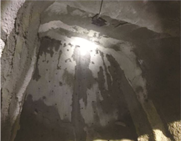 白姐全年正版王中王