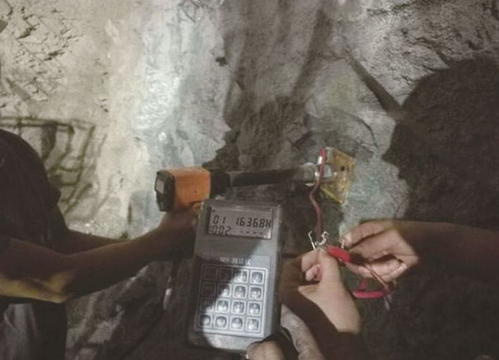 白姐全年正版王中王