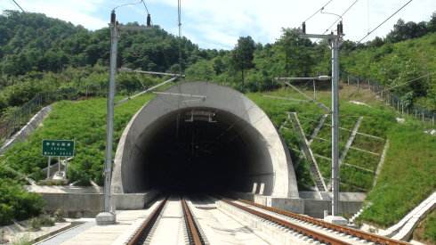 白姐全年正版王中王