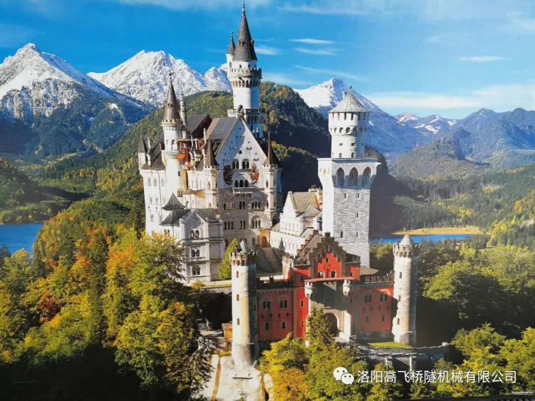 白姐全年正版王中王