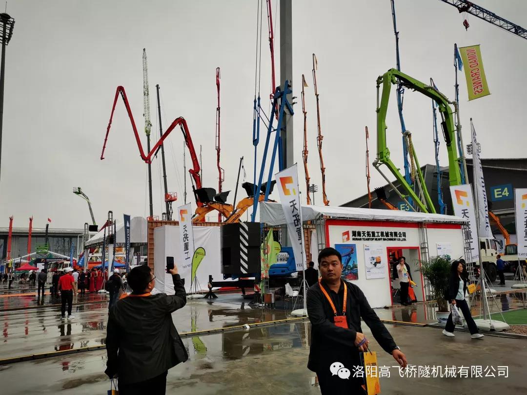 白姐全年正版王中王