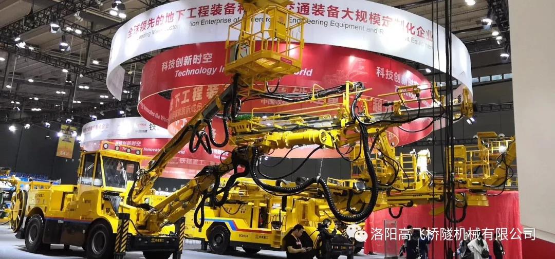 白姐全年正版王中王