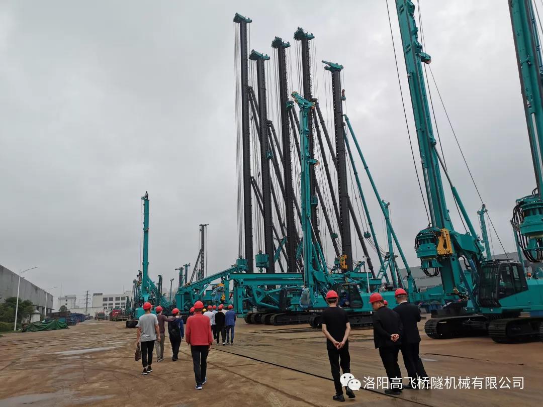 白姐全年正版王中王