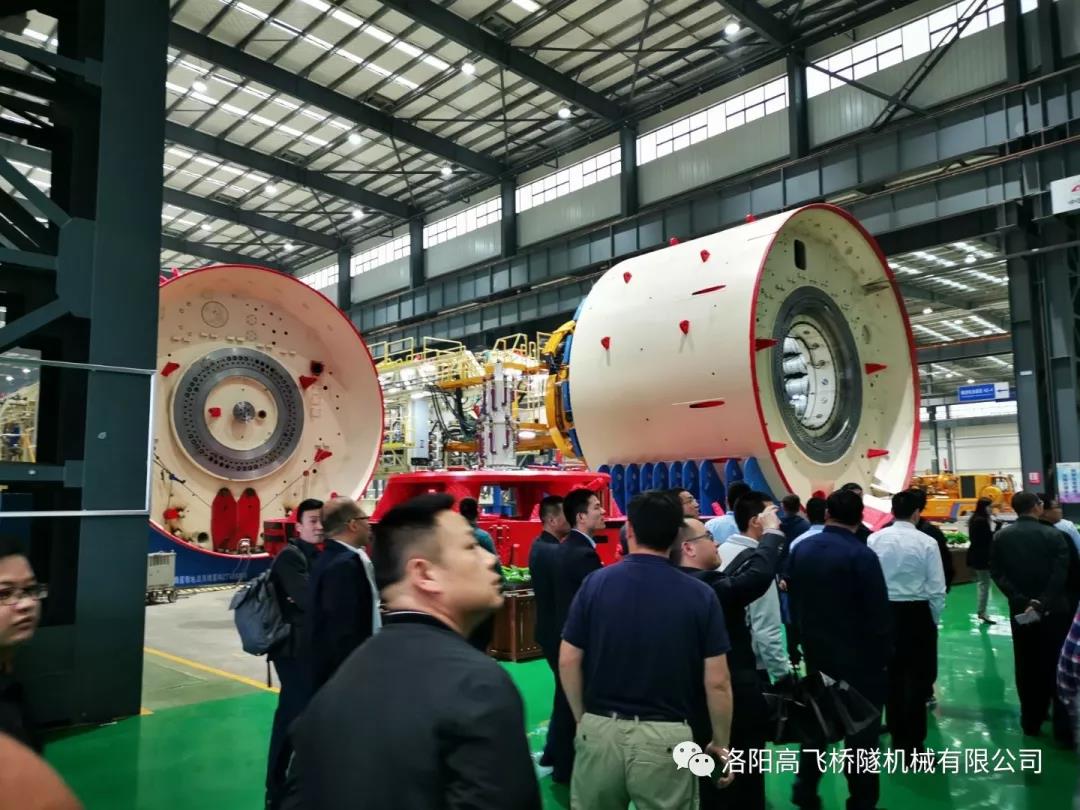 白姐全年正版王中王