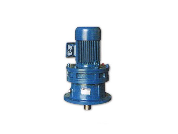 白姐全年正版王中王