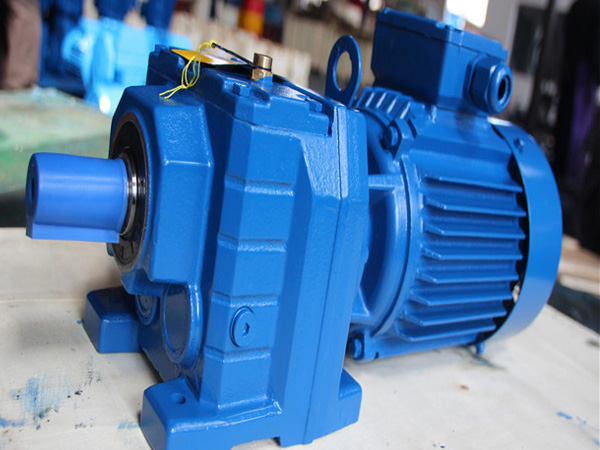 白姐全年正版王中王