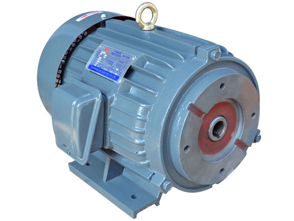 白姐全年正版王中王