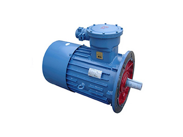 白姐全年正版王中王