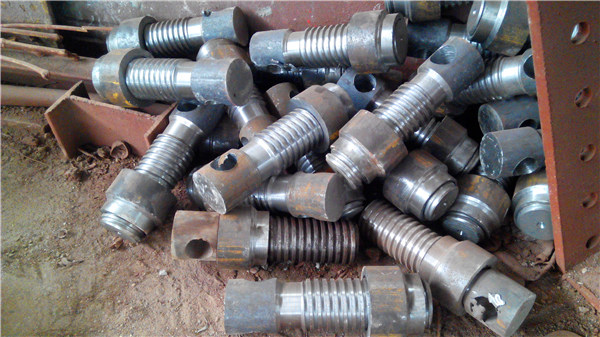 白姐全年正版王中王