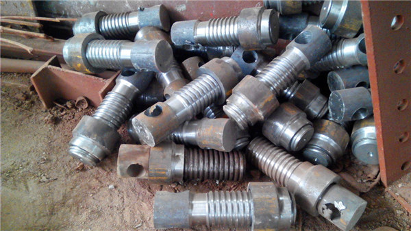 白姐全年正版王中王