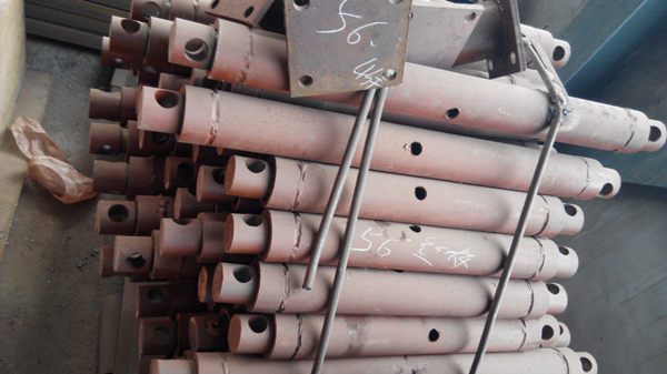 白姐全年正版王中王