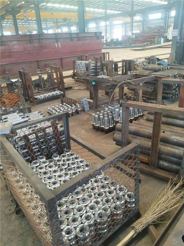 白姐全年正版王中王