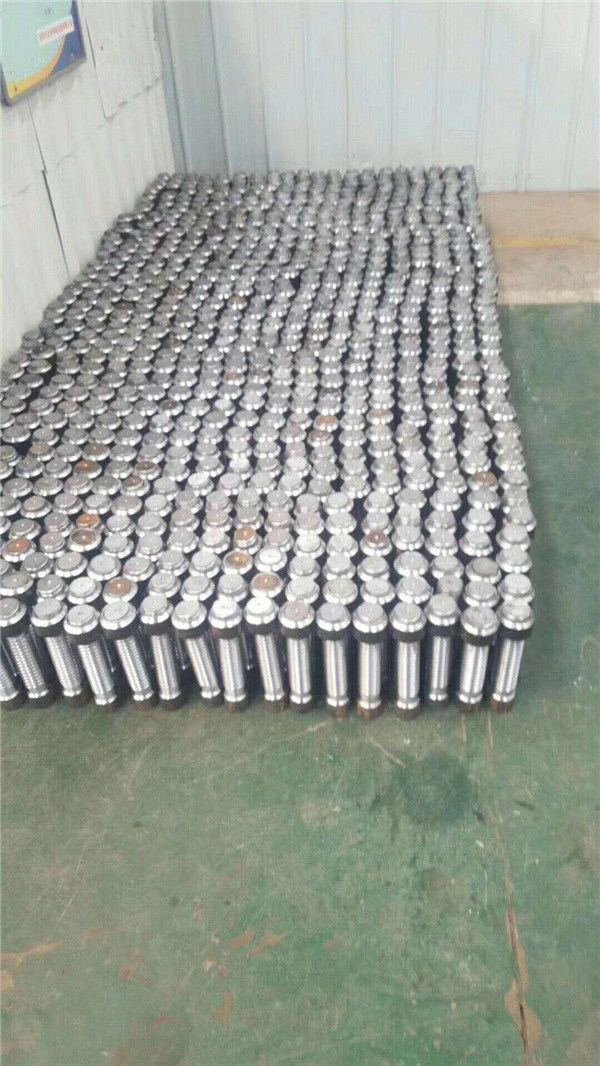 白姐全年正版王中王