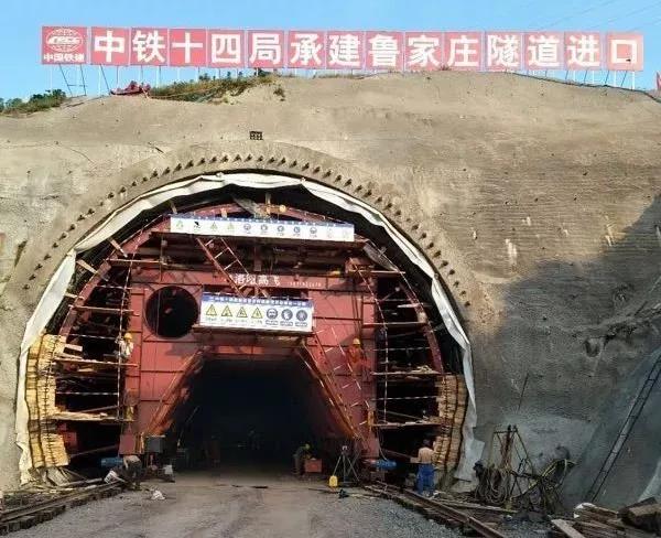 白姐全年正版王中王