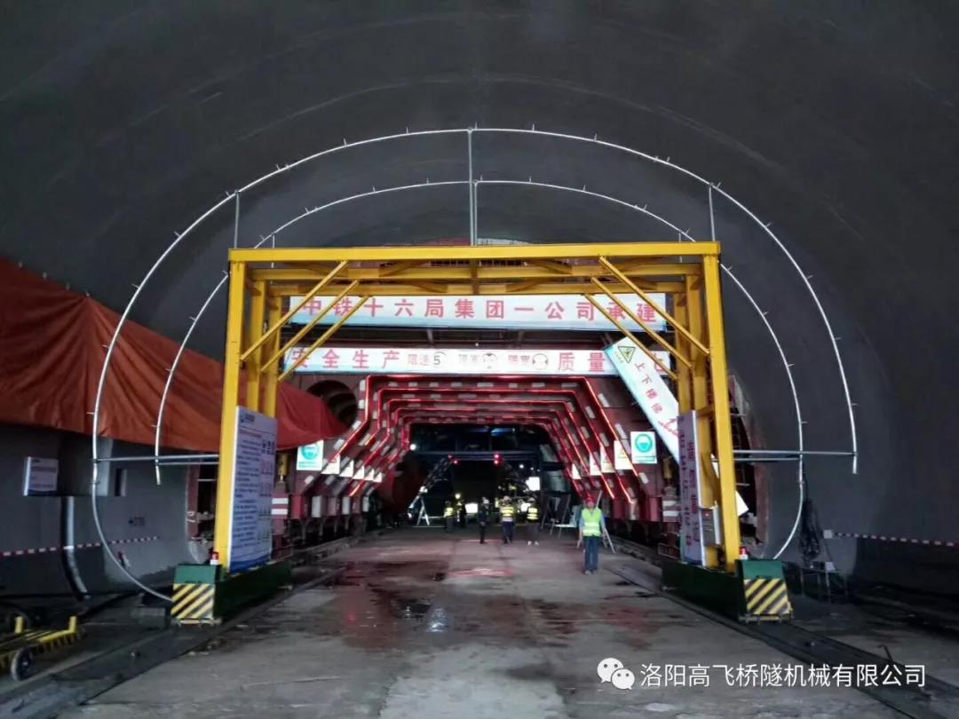 白姐全年正版王中王