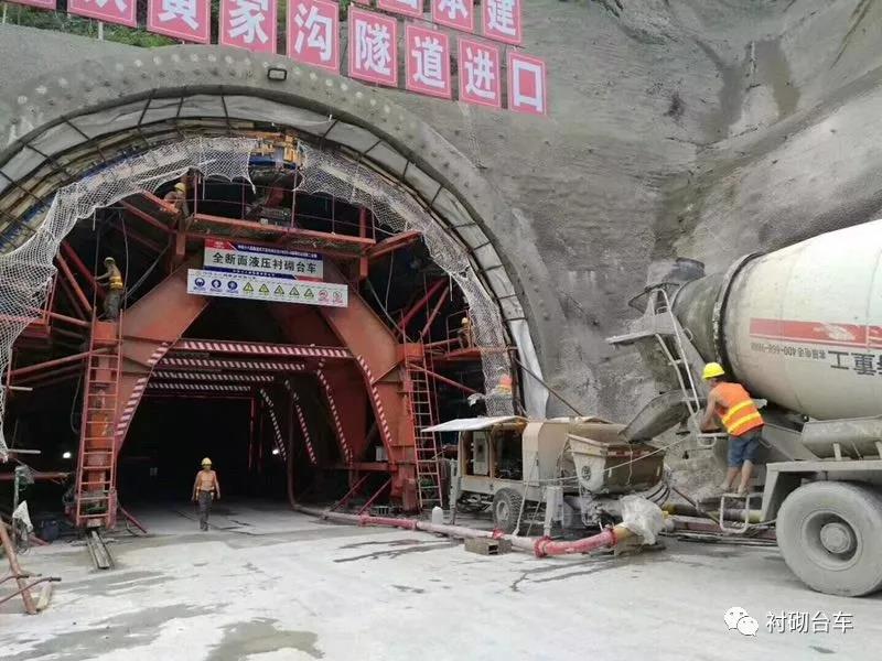 白姐全年正版王中王