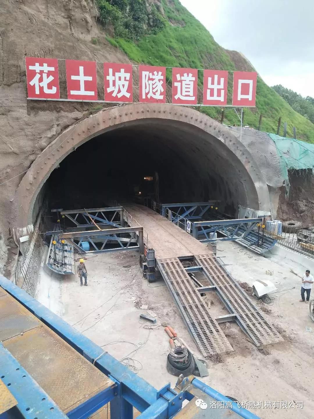 白姐全年正版王中王