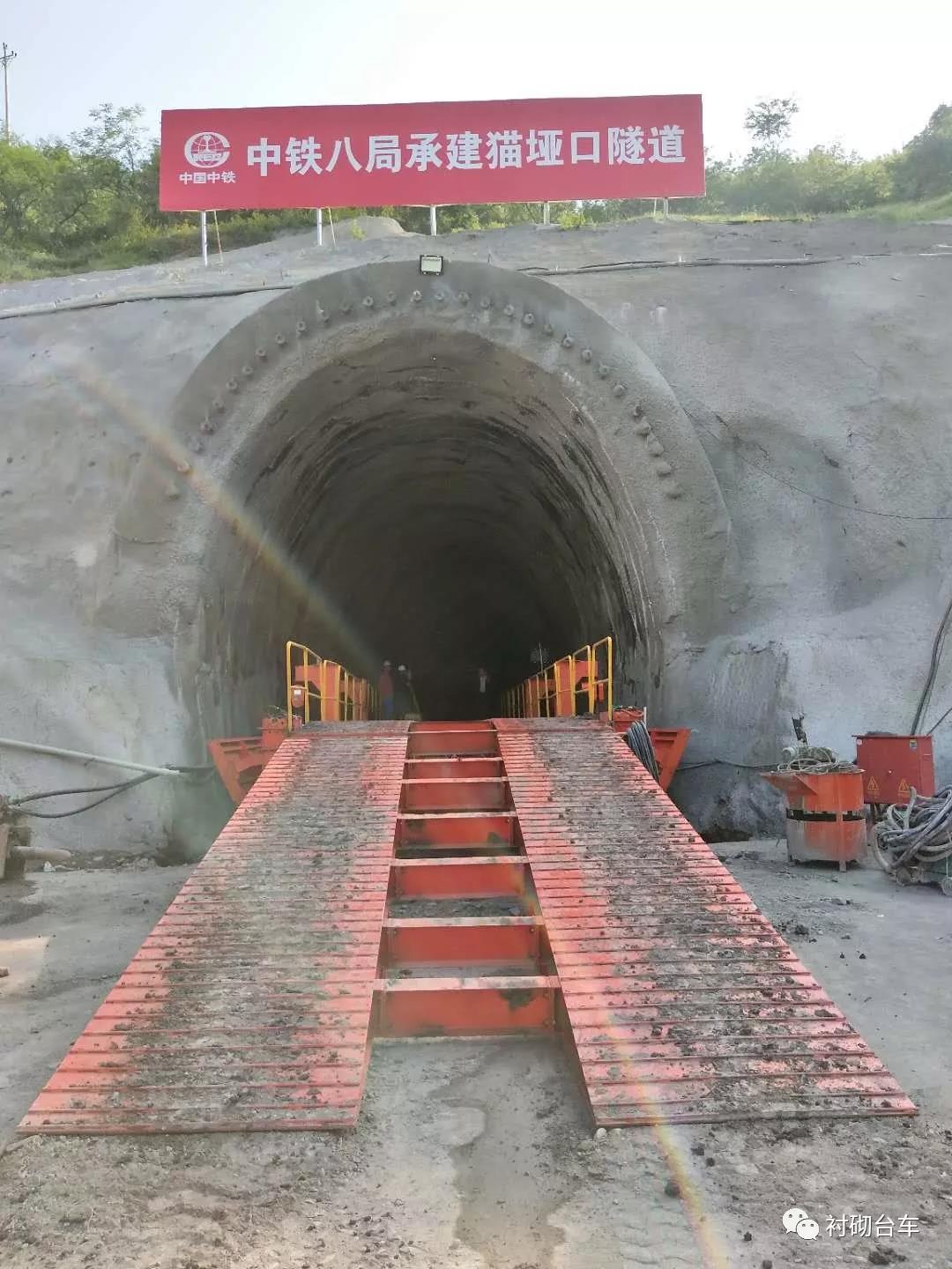 白姐全年正版王中王