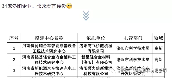 白姐全年正版王中王