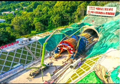 白姐全年正版王中王