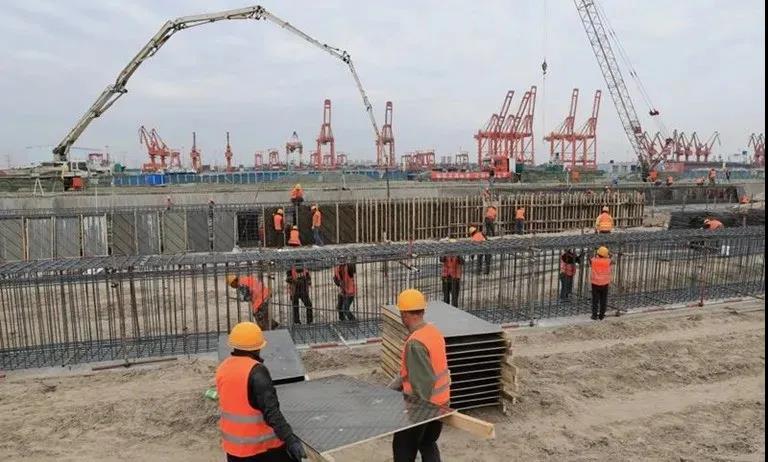 白姐全年正版王中王