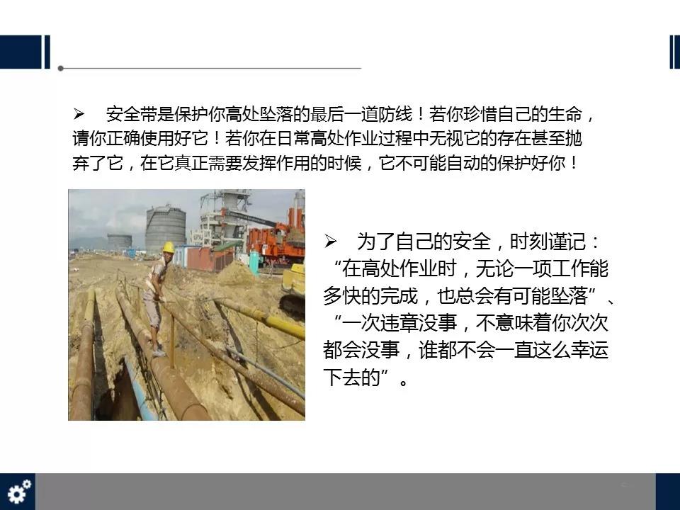 白姐全年正版王中王